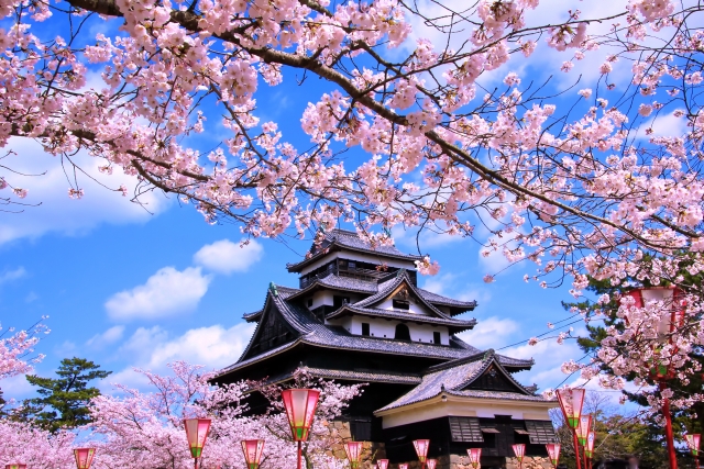 Visit Matsue Castle, a national treasure blending seamlessly with the cultural heritage of Tamatsukuri Onsen Izumo, where cherry blossoms frame its majestic silhouette each spring.