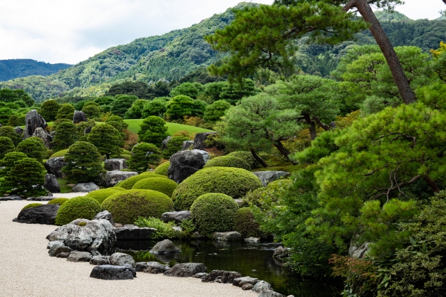 Stroll through the award-winning gardens of Adachi Museum of Art near Tamatsukuri Onsen Izumo, where every scene looks like a living painting.