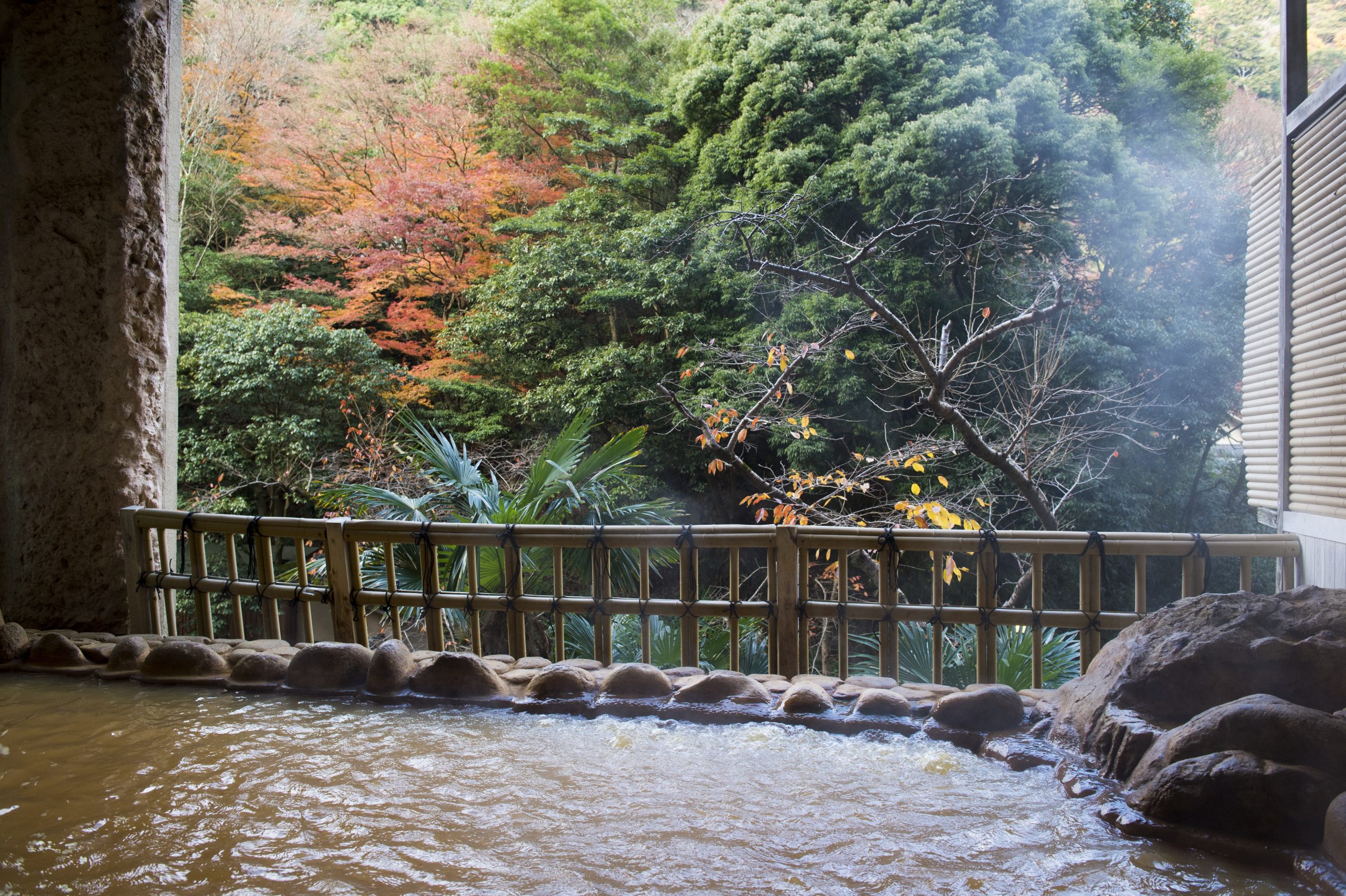 Golden hot spring bath with a view of colorful autumn leaves at Arima Onsen