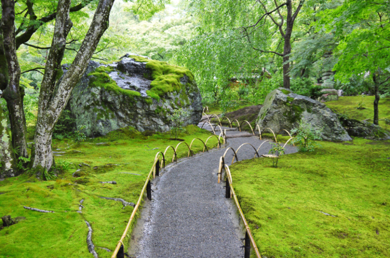 Arashiyama - Arashiyama Kyoto Travel Guide: Kitayama & Zen Walks