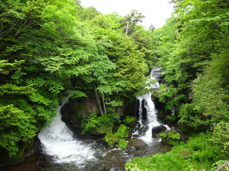 Nikko Toshogu Shrine - Nikko Toshogu Shrine: Discover Japan’s Most Opulent Sacred Site Nikko Toshogu Shrine - Nikko Toshogu Shrine: Discover Japan’s Most Opulent Sacred Site
