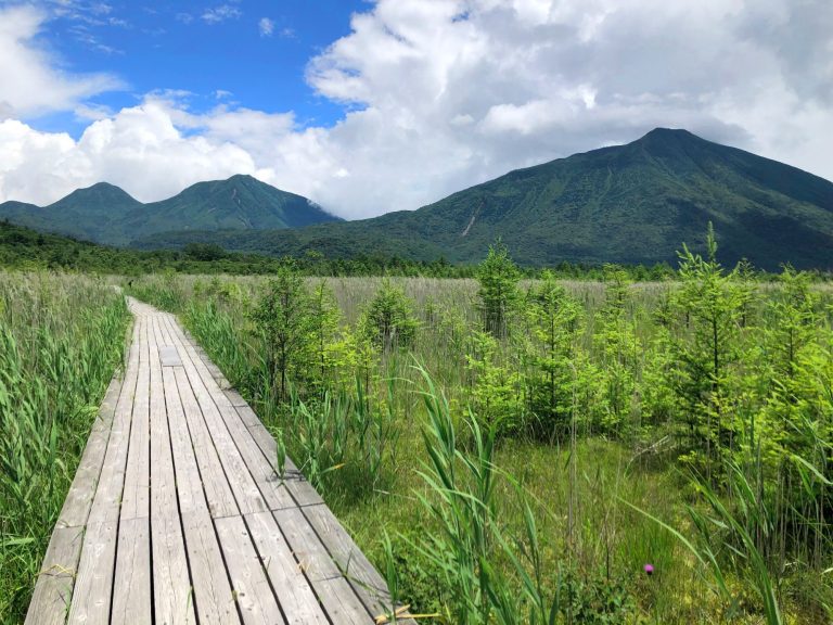 Nikko Toshogu Shrine - Nikko Toshogu Shrine: Discover Japan’s Most Opulent Sacred Site Nikko Toshogu Shrine - Nikko Toshogu Shrine: Discover Japan’s Most Opulent Sacred Site