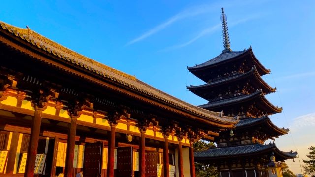 Nara Japan - Nara Japan: Explore Ancient Temples, Friendly Deer, and Cultural Charm 22664750_s6172004278453661368.jpg