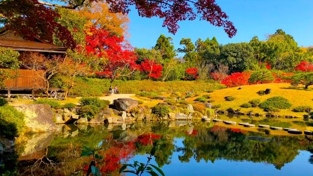 Nara Japan - Nara Japan: Explore Ancient Temples, Friendly Deer, and Cultural Charm 22665598_s2347285220179845729.jpg