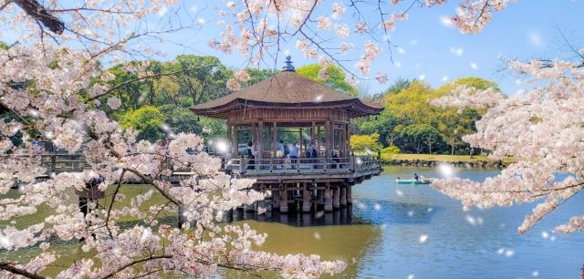 Nara Japan - Nara Japan: Explore Ancient Temples, Friendly Deer, and Cultural Charm 26241097_s3592391734607841131.jpg