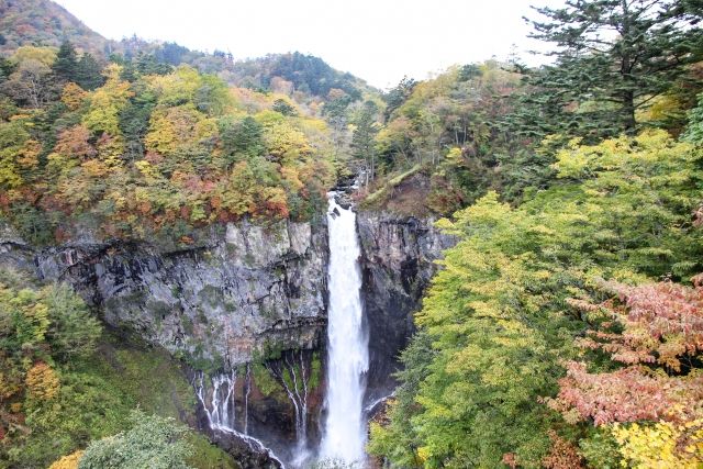 Nikko Toshogu Shrine - Nikko Toshogu Shrine: Discover Japan’s Most Opulent Sacred Site Nikko Toshogu Shrine - Nikko Toshogu Shrine: Discover Japan’s Most Opulent Sacred Site