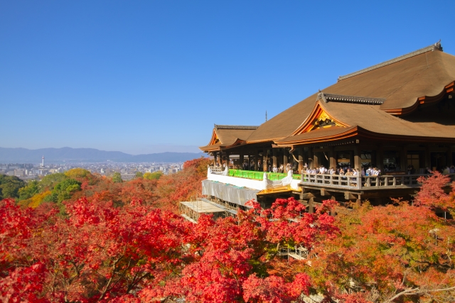 Kyoto's Historic Heart - Kyoto’s Historic Heart : Unveiling Timeless Temples and Living Traditions