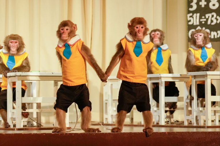 Kinugawa Onsen - Kinugawa Onsen: Relaxing Hot Springs & Nature Getaway Near Tokyo Kinugawa Onsen - Kinugawa Onsen: Relaxing Hot Springs & Nature Getaway Near Tokyo