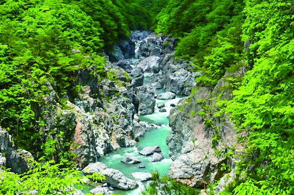 Kinugawa Onsen - Kinugawa Onsen: Relaxing Hot Springs & Nature Getaway Near Tokyo 77a23e52609291e8a4e0269442cacf936596009435811291665.jpg