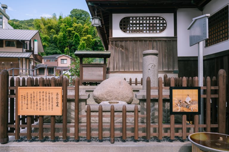 Tama-no-Ishi, a sacred stone linked to the origin legend of Dogo Onsen, displayed with historical plaques and wooden fencing.